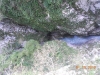 dscn1466